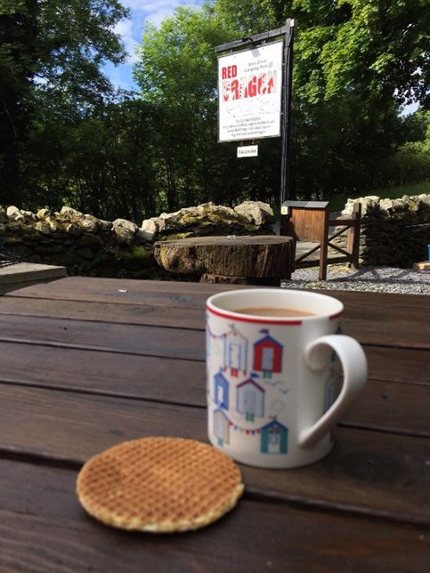 Bryn Dinas Camping Pods