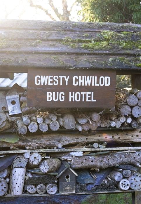 Beddgelert Campsite