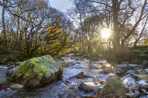 Beddgelert Campsite