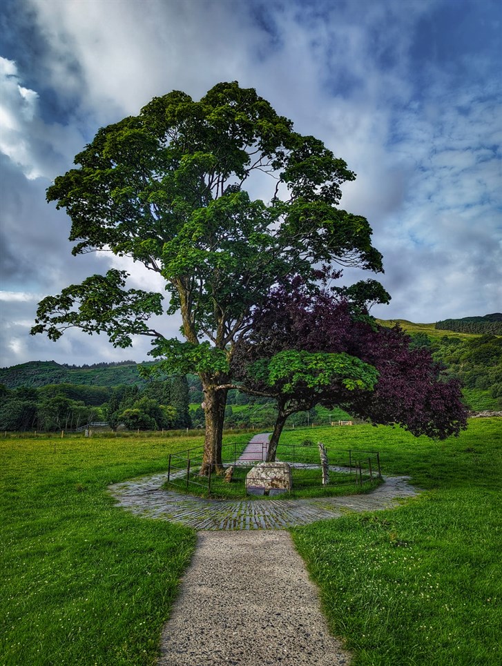 The site of Gelert's grave