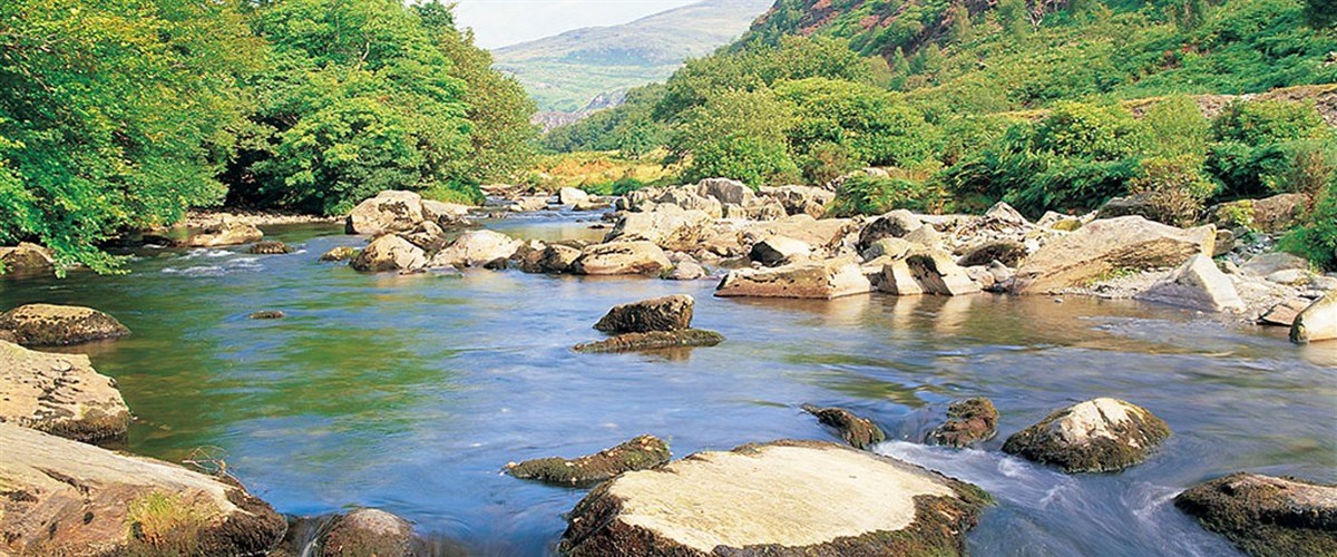 Beddgelert, Dinas Emrys and the Welsh Princes