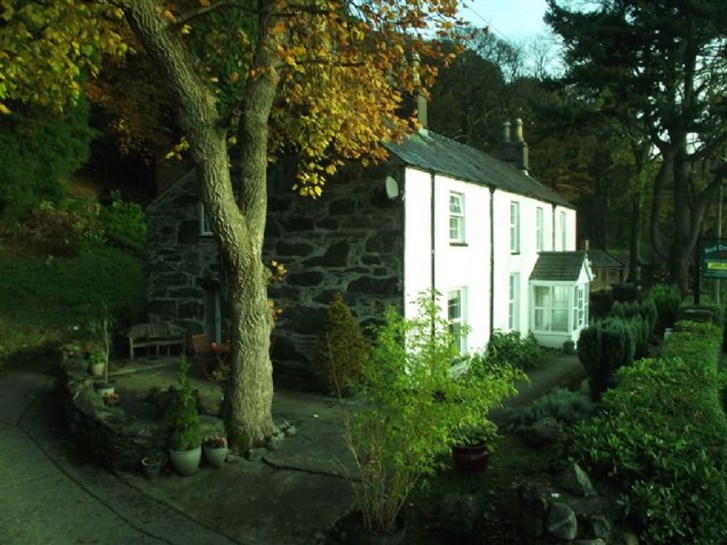 Red Dragon Holiday Cottages & Log Cabins