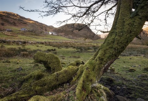 Perthi Holiday Cottages - Beddgelert