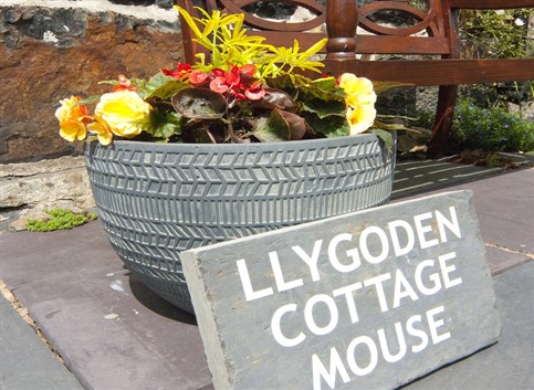 Mouse Cottage